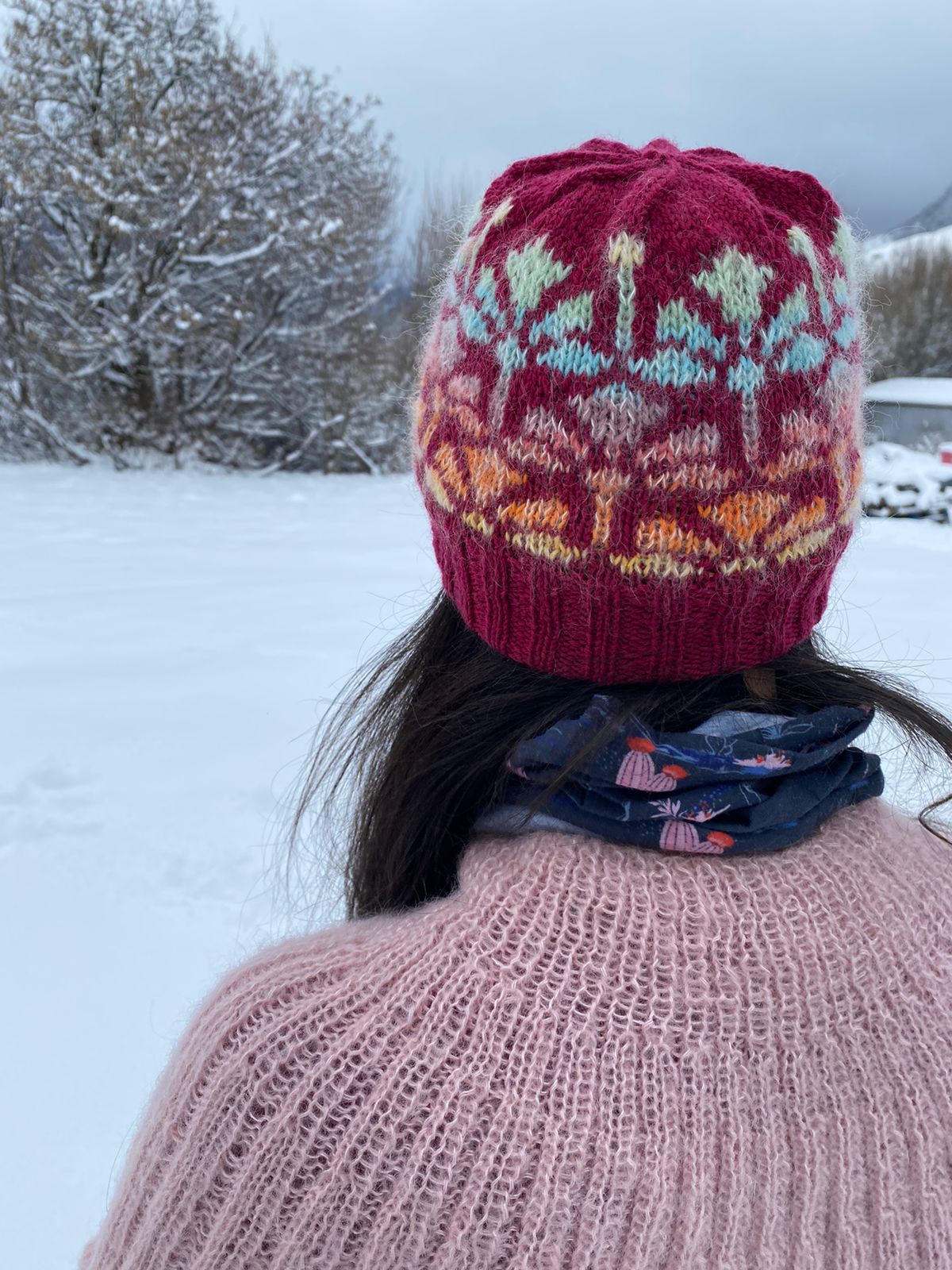 Gorro Alpina