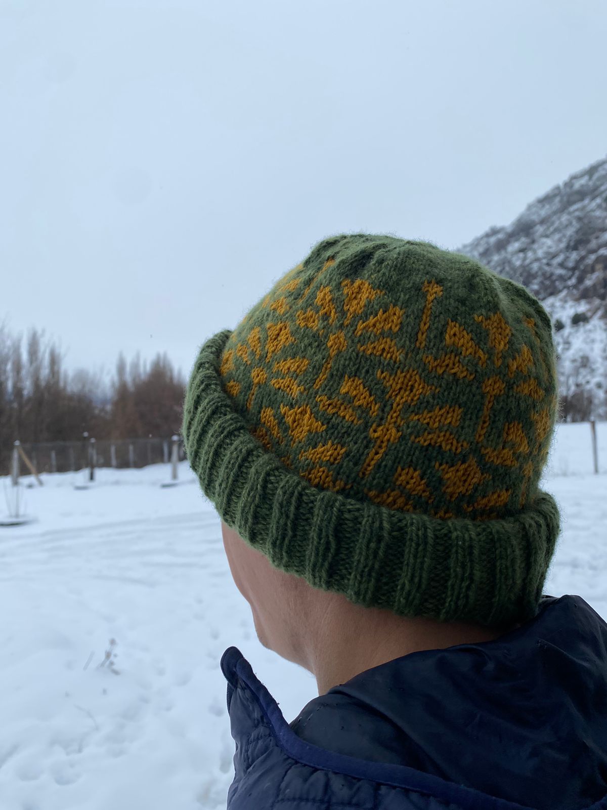 Gorro Alpina