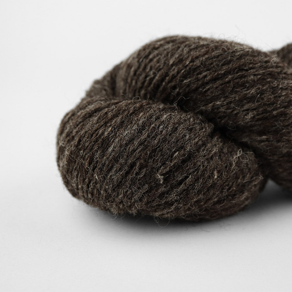 Wild Shades Color N° 902