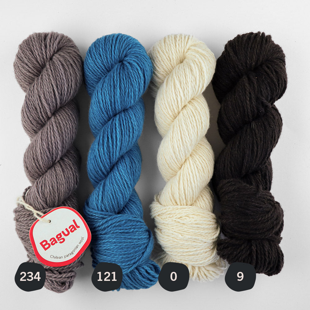 Merino Patagónica Worsted Color N° 121