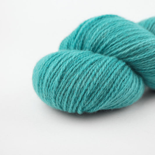 Merino Patagónica Sport Color N° 140