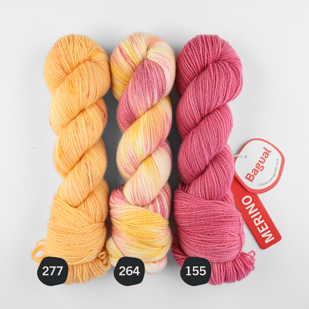 Merino Patagónica Sport Color N° 155