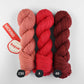 Merino Patagónica Sport Color N° 230